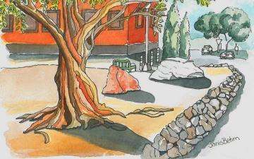 Painting of Olive Tree, by Janis Behm